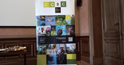 Tisková konference CCBC