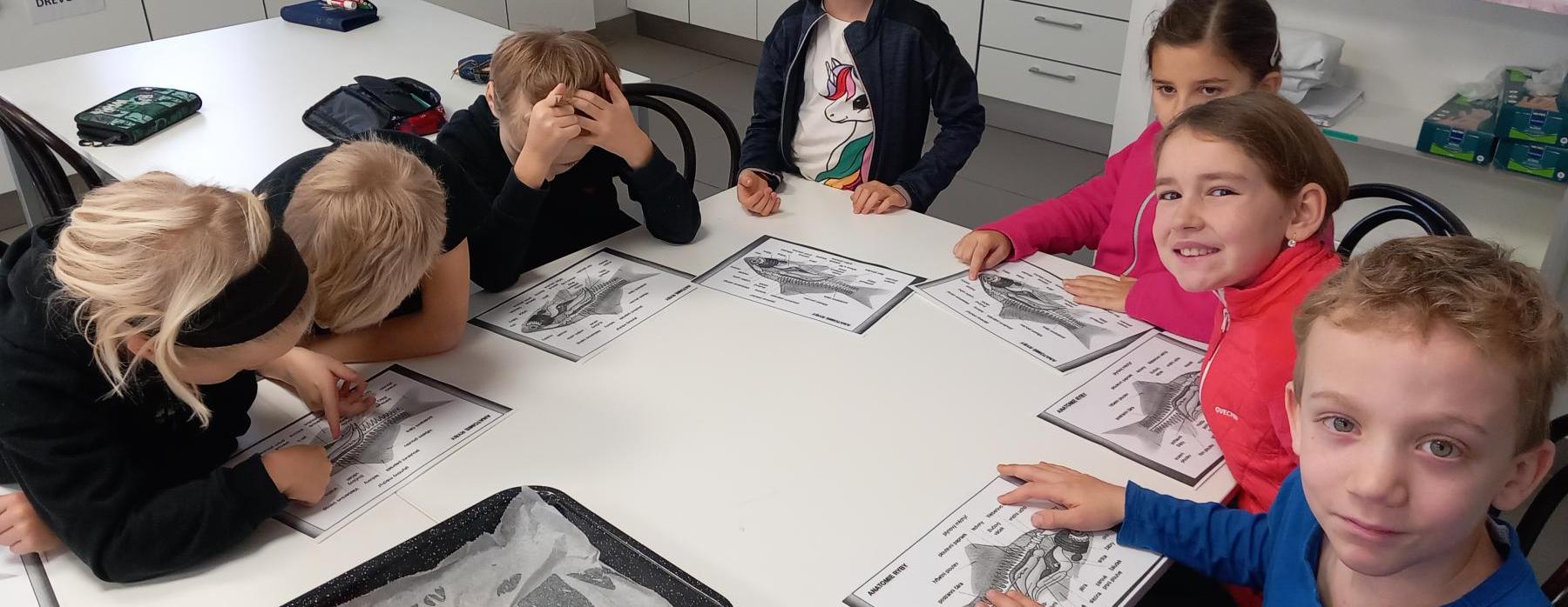 Věda na talíři aneb Víme, co na Vánoce jíme?