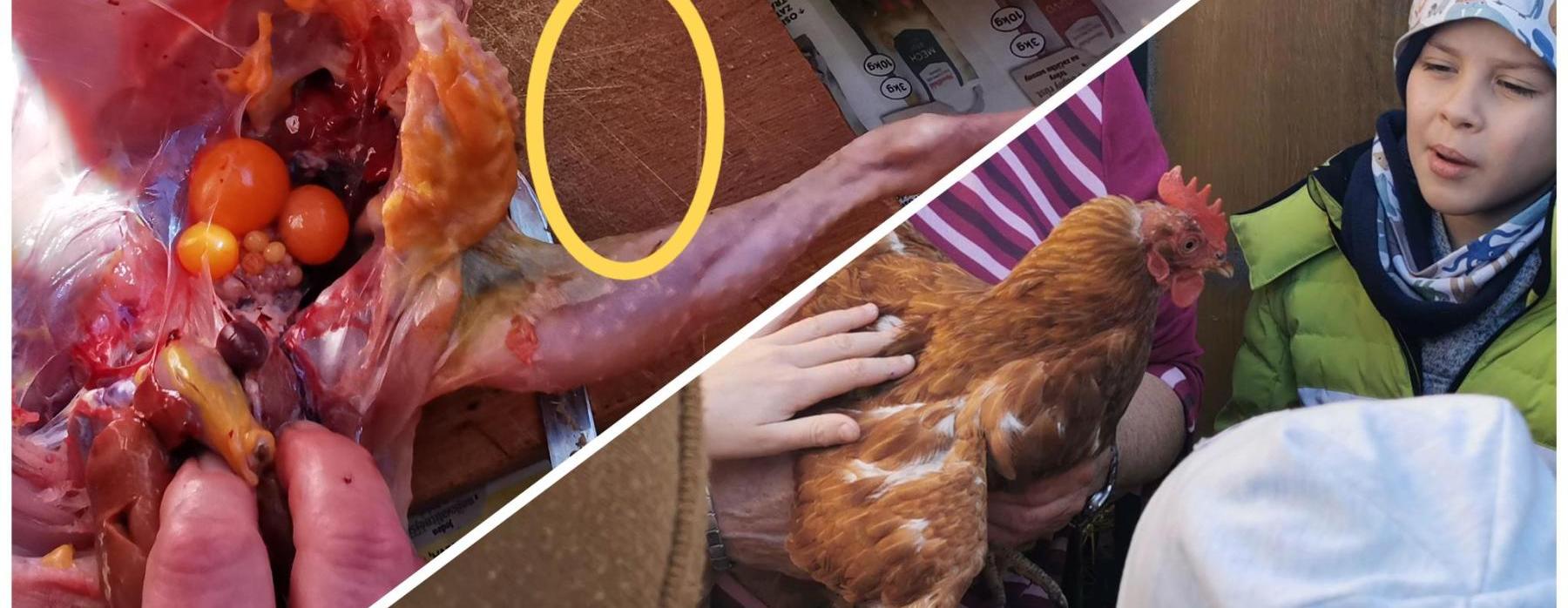 Přechod od praxe přes zkušenosti až k filozofii