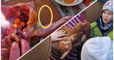 Přechod od praxe přes zkušenosti až k filozofii