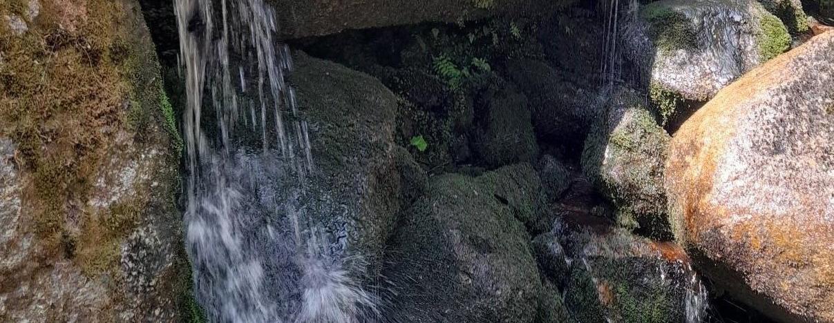 Škola v přírodě 8.C - den druhý