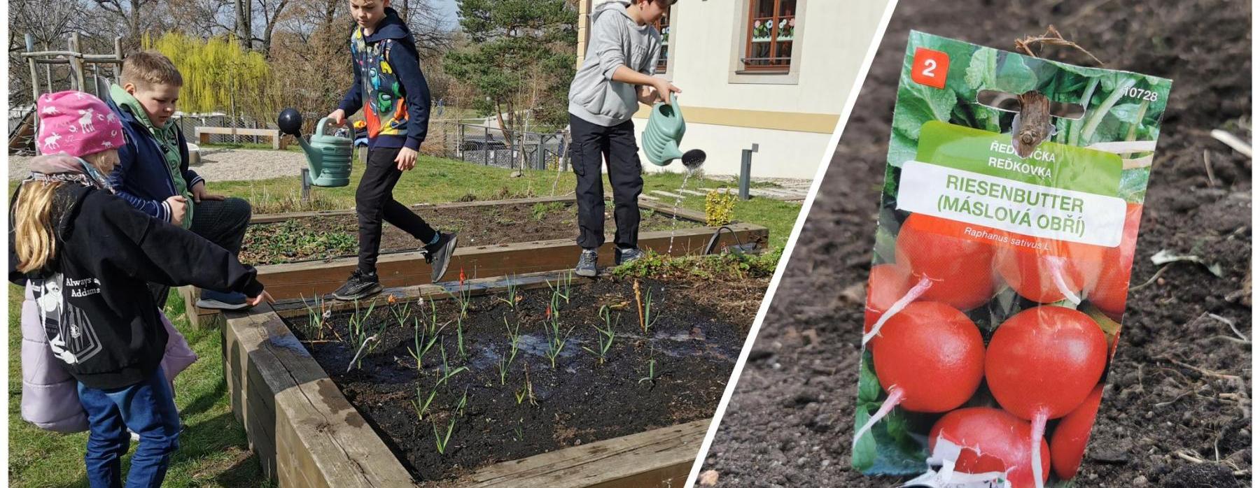 Hurá! Naše školní zahrada se probouzí k životu (3. B)