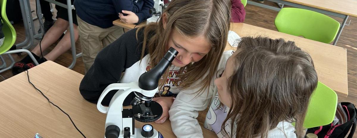 Přihlašování prodlouženo: máme volná místa v kroužcích pro aktuální školní rok