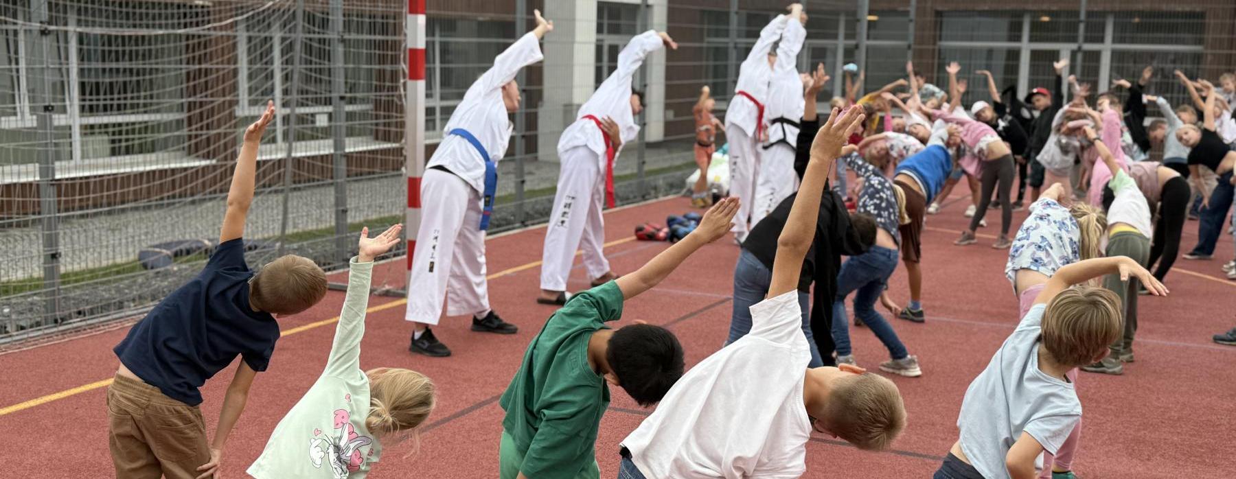 Ukázka bojového umění Taekwon-do