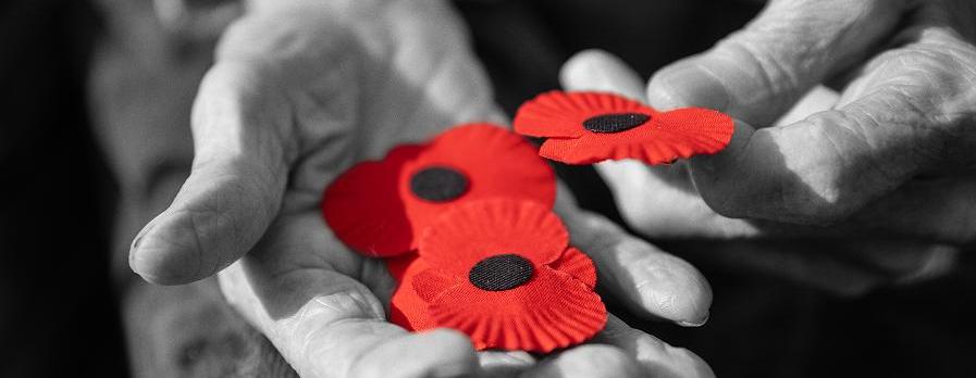 Vlčí mák jako symbol úcty