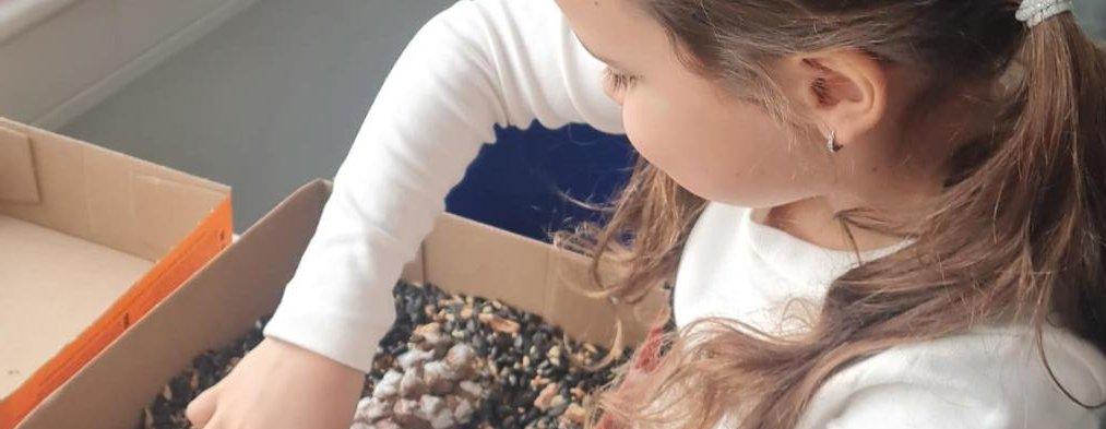 Ptačí den ve třídě