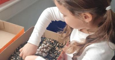 Ptačí den ve třídě