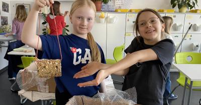 Pamlsky pro naše ptačí kamarády