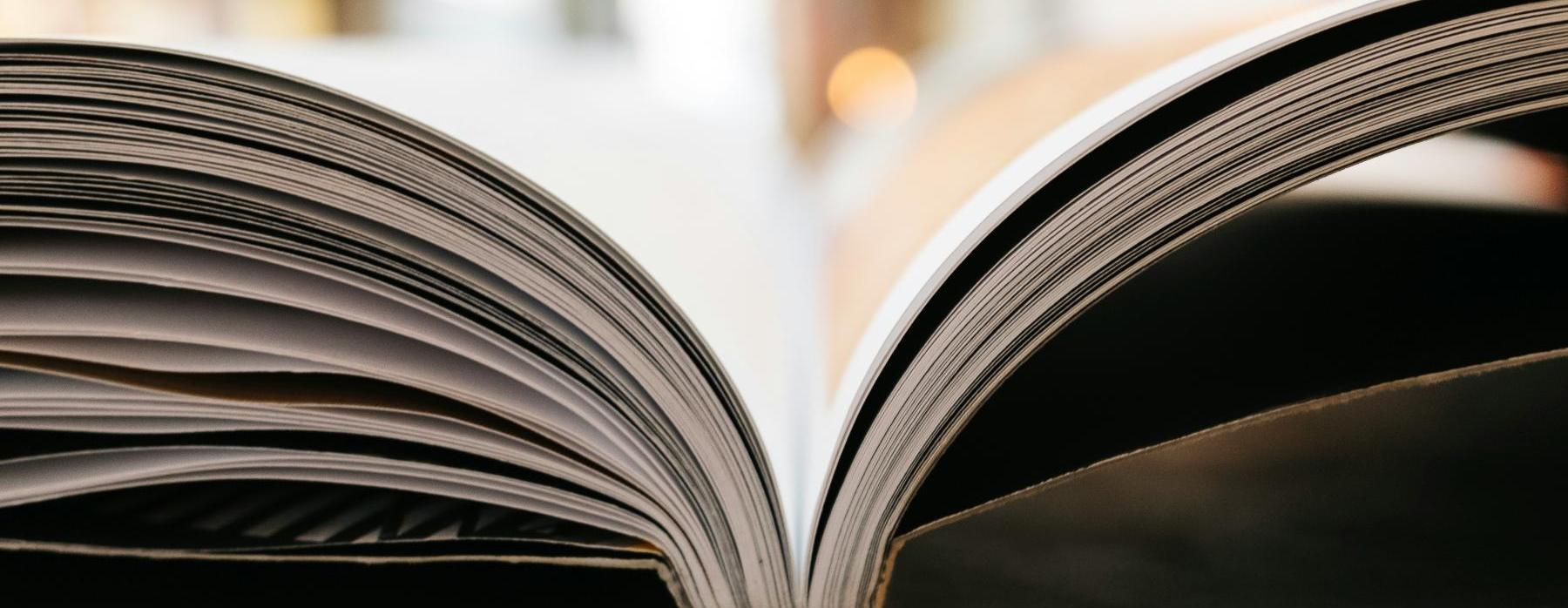 Velký úspěch Aničky Halbichové v okresním kole Olympiády v českém jazyce