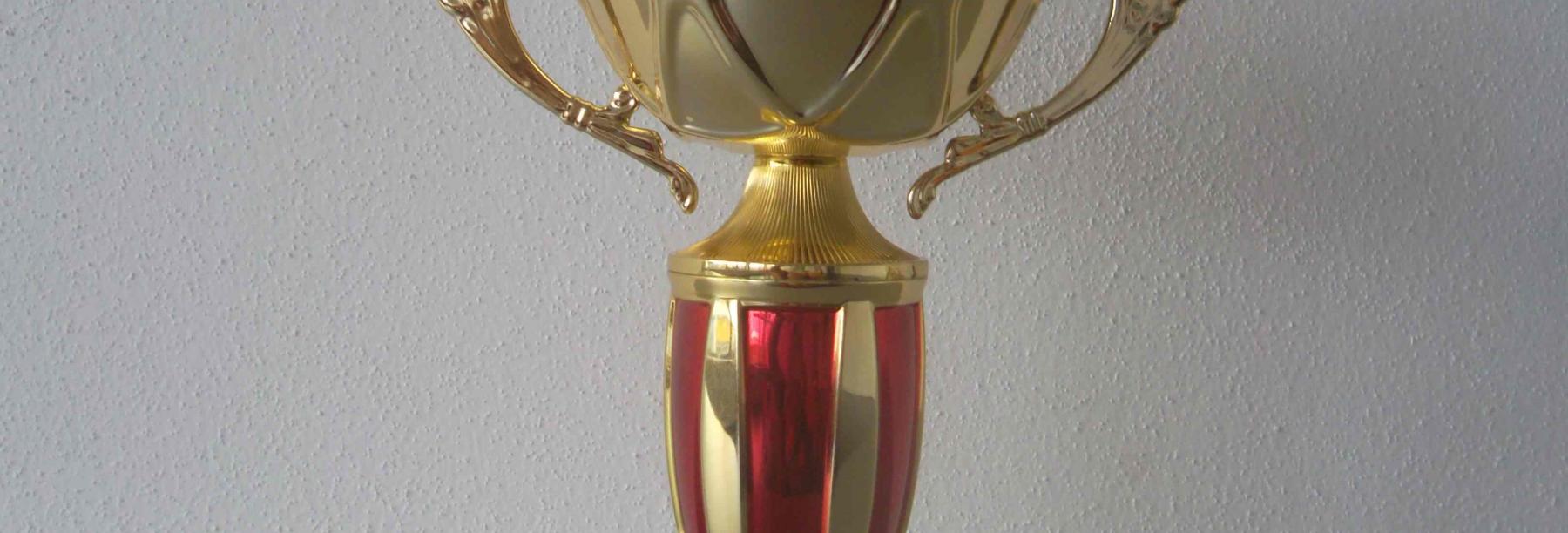 <b>Ve Školní sportovní lize 2015/ 2016 jsme vybojovali 3. místo!</b>