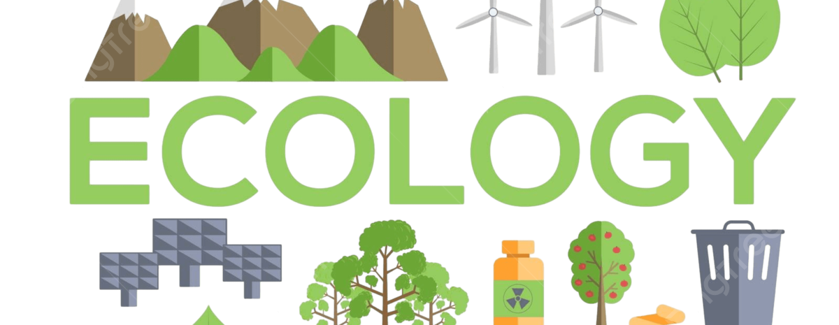 Laboratorní práce 9.A