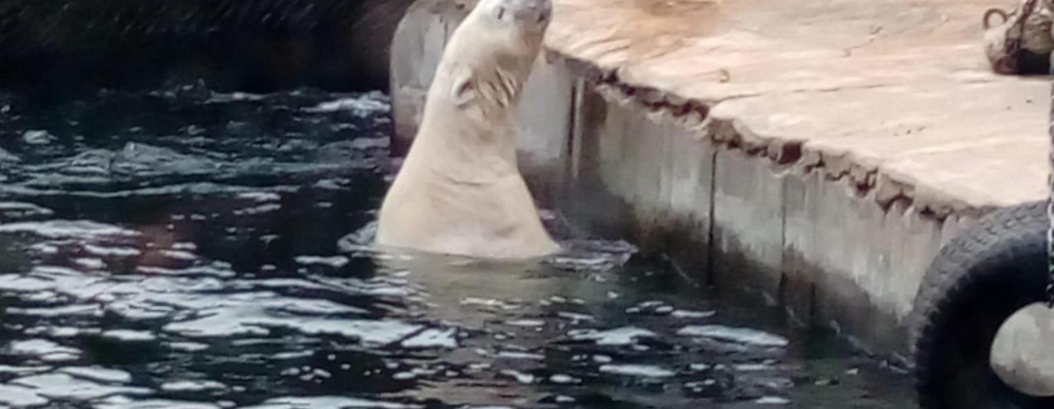 Exkurze do ZOO
