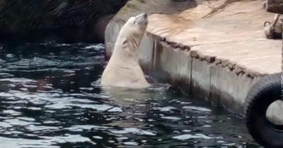 Exkurze do ZOO
