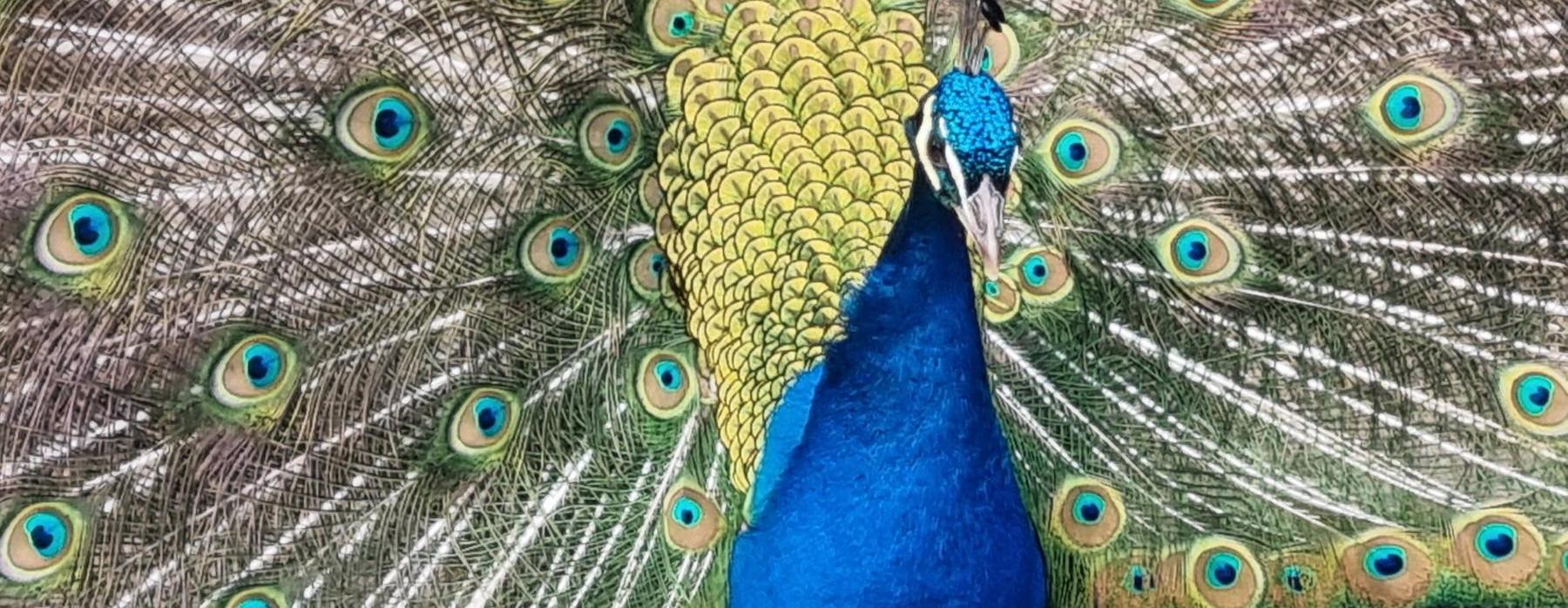 Exkurze do ZOO
