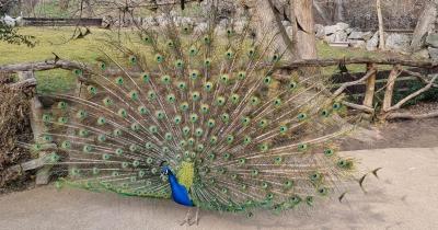 Exkurze do ZOO
