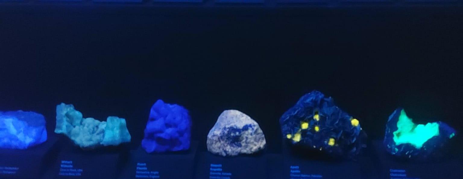 Národní muzeum v Praze