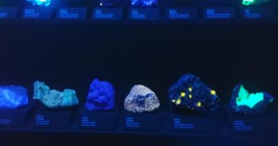 Národní muzeum v Praze