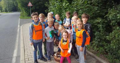 Houbařský projekt (3.C)